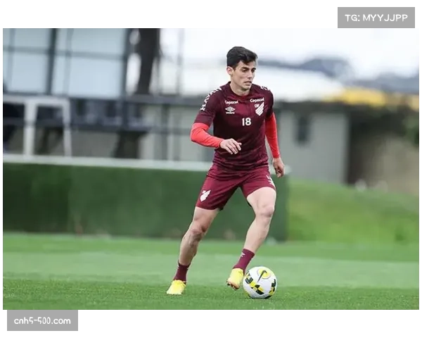 上海海港外援选择困境:六外援仅能报名五人,梅伦多或无缘中超起步阶段